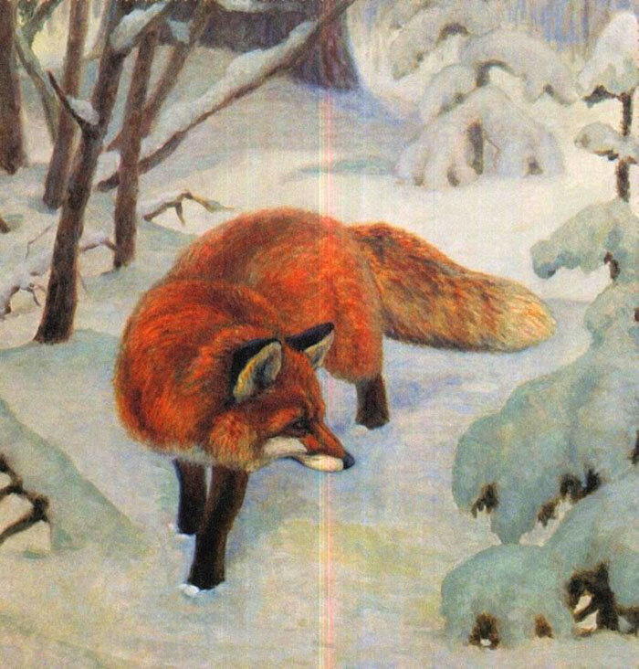 Константин Флёров "лисица северная "