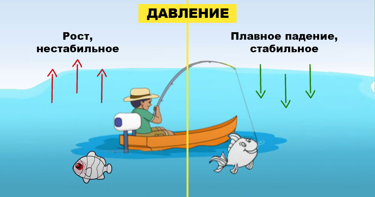 источник: https://manrule.ru/images/article/orig/2020/08/pri-kakom-atmosfernom-davlenii-luchshe-klyuet-ryba-6.jpg