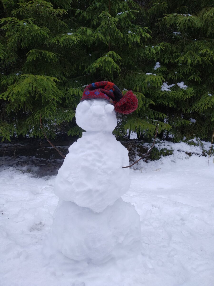В лесу тихо, там нет людей...