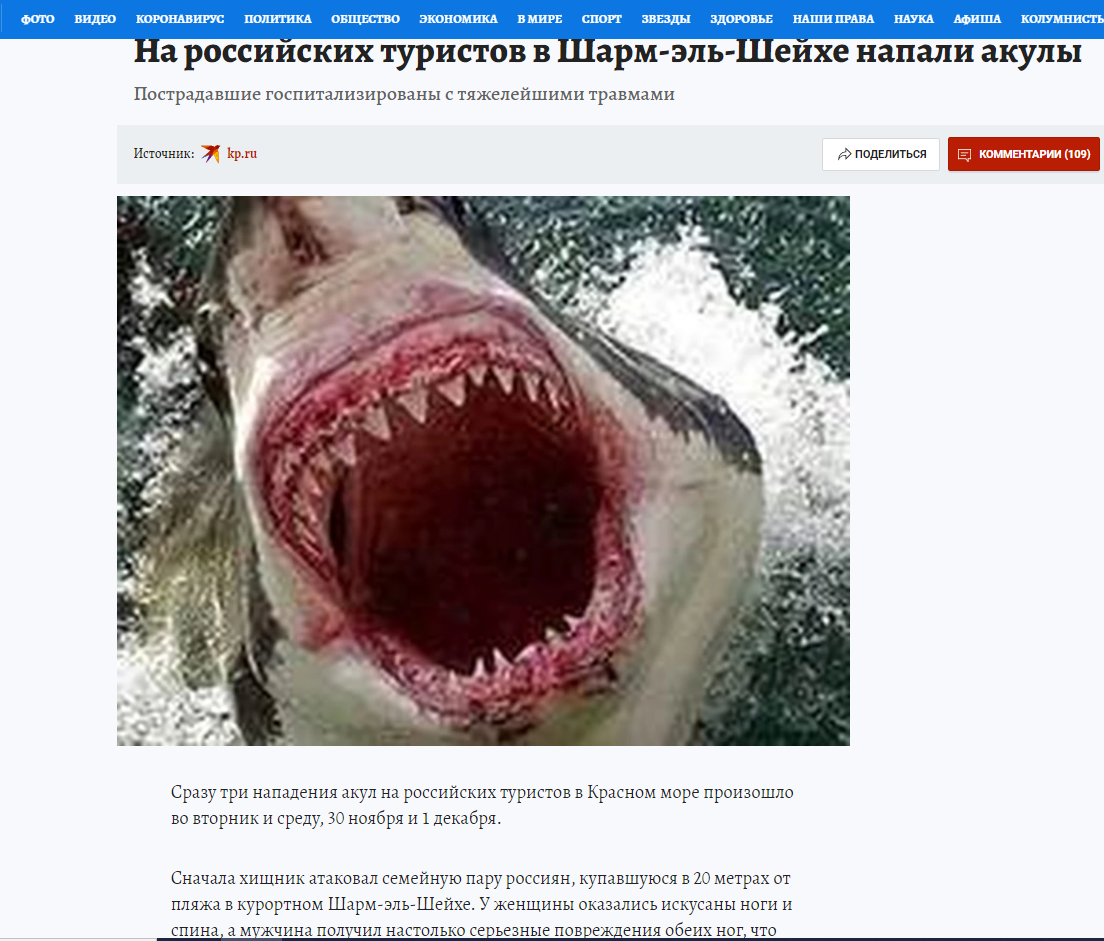 Скриншот с сайта kp.ru об акуле-людоеде