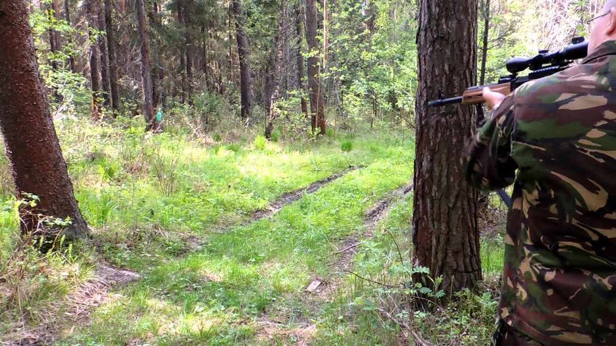 Стрельба в лесу. Перестрелка в лесу. Дети на охоте. Мужчина с ружьем. Стреляет в лесу.