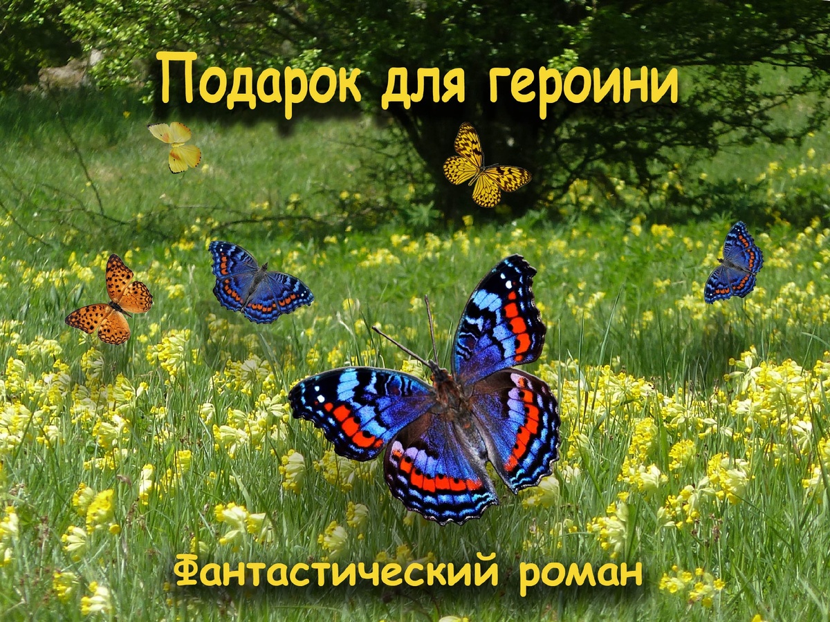 Глава 91. Свадьба без родителей | Рассвет над городом | Дзен