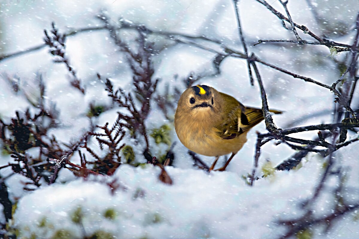 �&nbsp;������ ��������� ��������� ����� ������� �����. ����� 8-9 ����� ����, �&nbsp;������� ������, ��� ��&nbsp;����� ��&nbsp;����������!-1-2