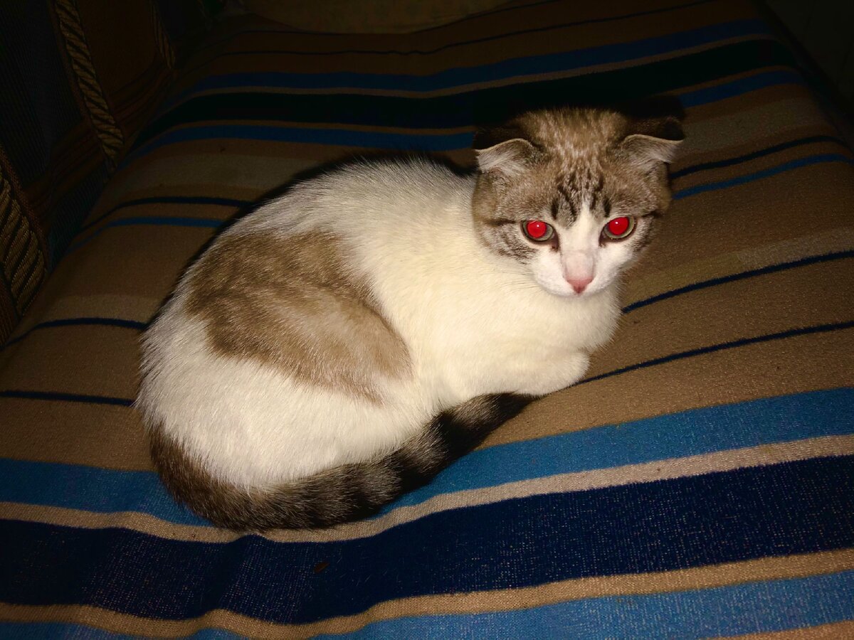 Красные глаза это потому что она учиха)))