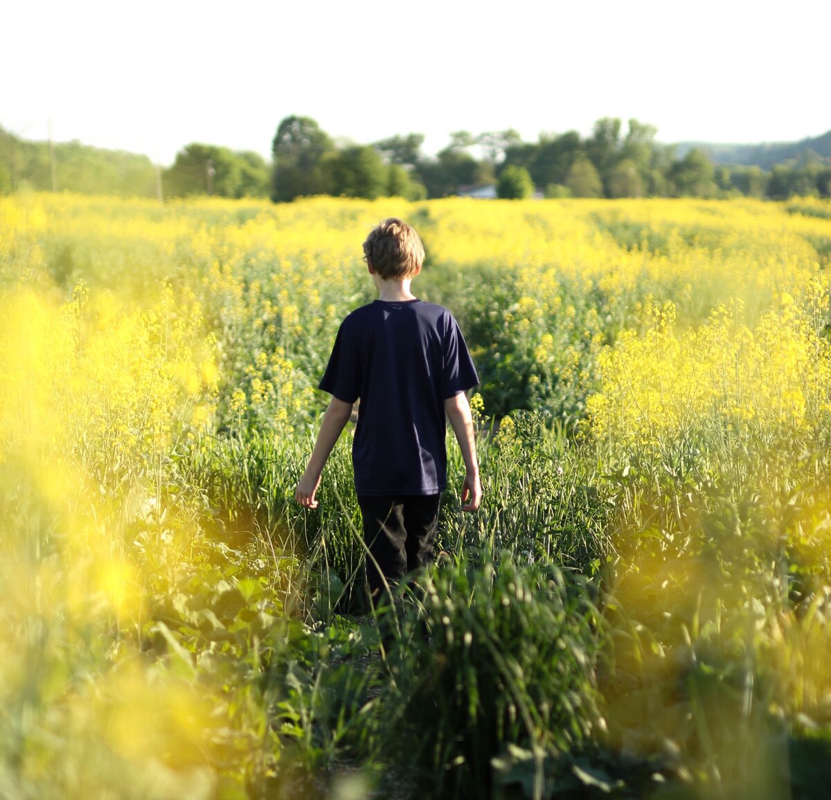 Photo by Rachael Crowe on Unsplash