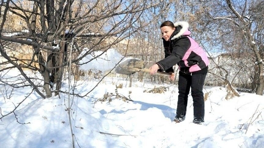 Не успеем оглянуться, а уже пора копать, сажать... Календарь работ для садовода на январь