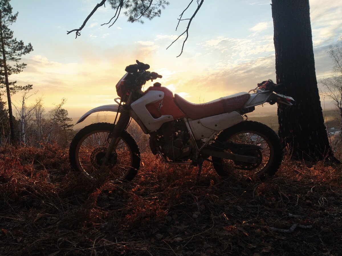 Это мой мотоцикл, Honda XL 250 Degree.