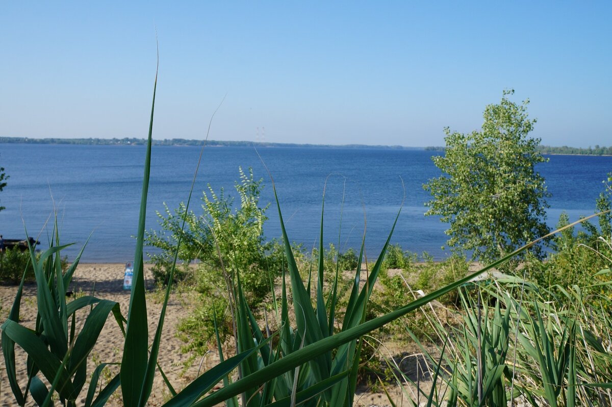 Берег Волги