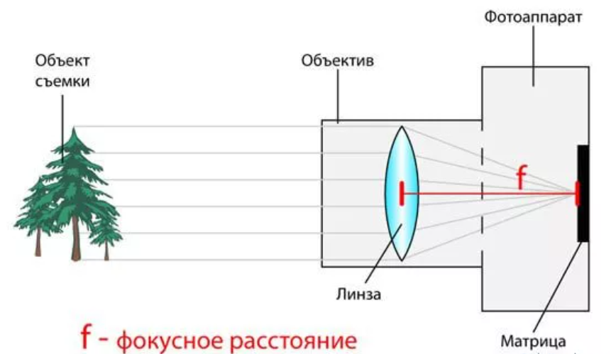 Ход лучей в фотоаппарате схема. Оптическая схема фотоаппарата физика. Оптическая схема фотоаппарата ход лучей. Схема линзы фотоаппарата физика.