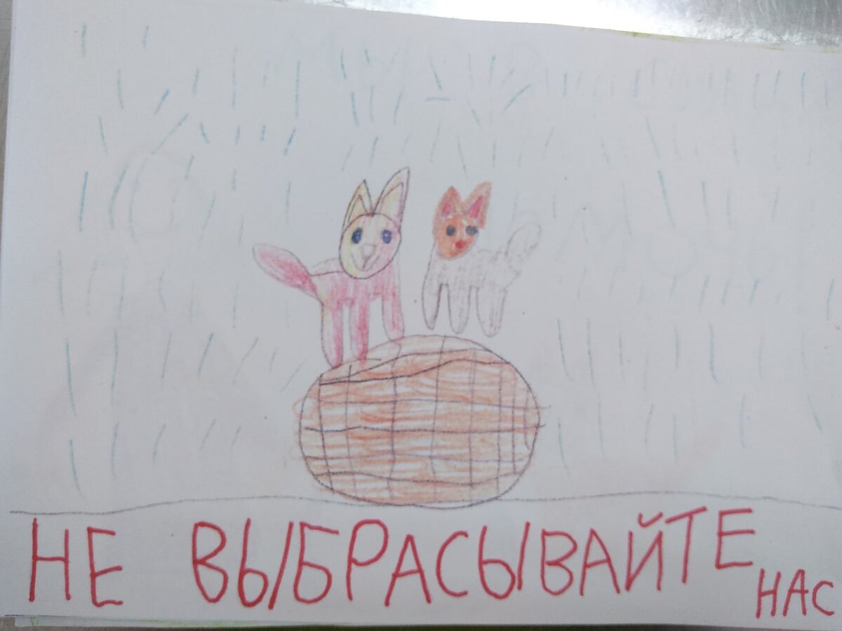 Мама в кубе дзен