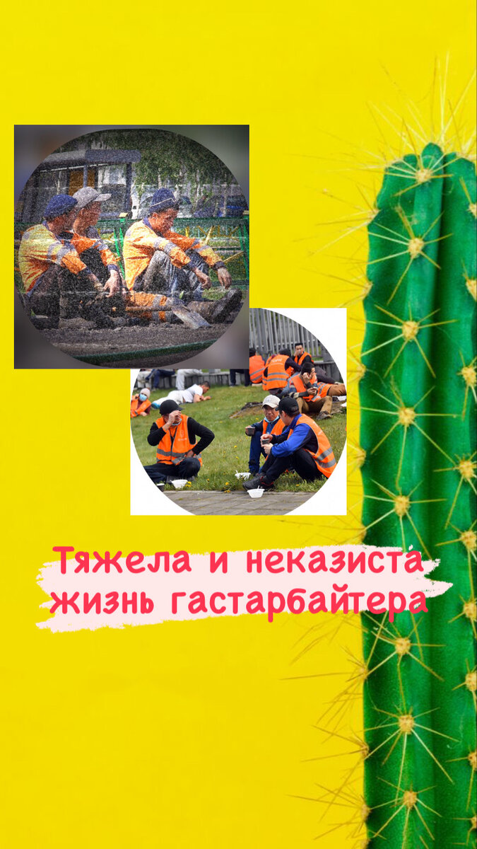 Сколько на пути ещё колючек...
