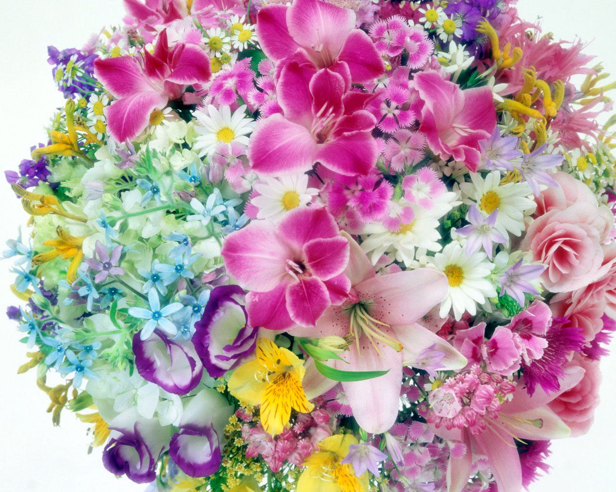 Яндекс картинки