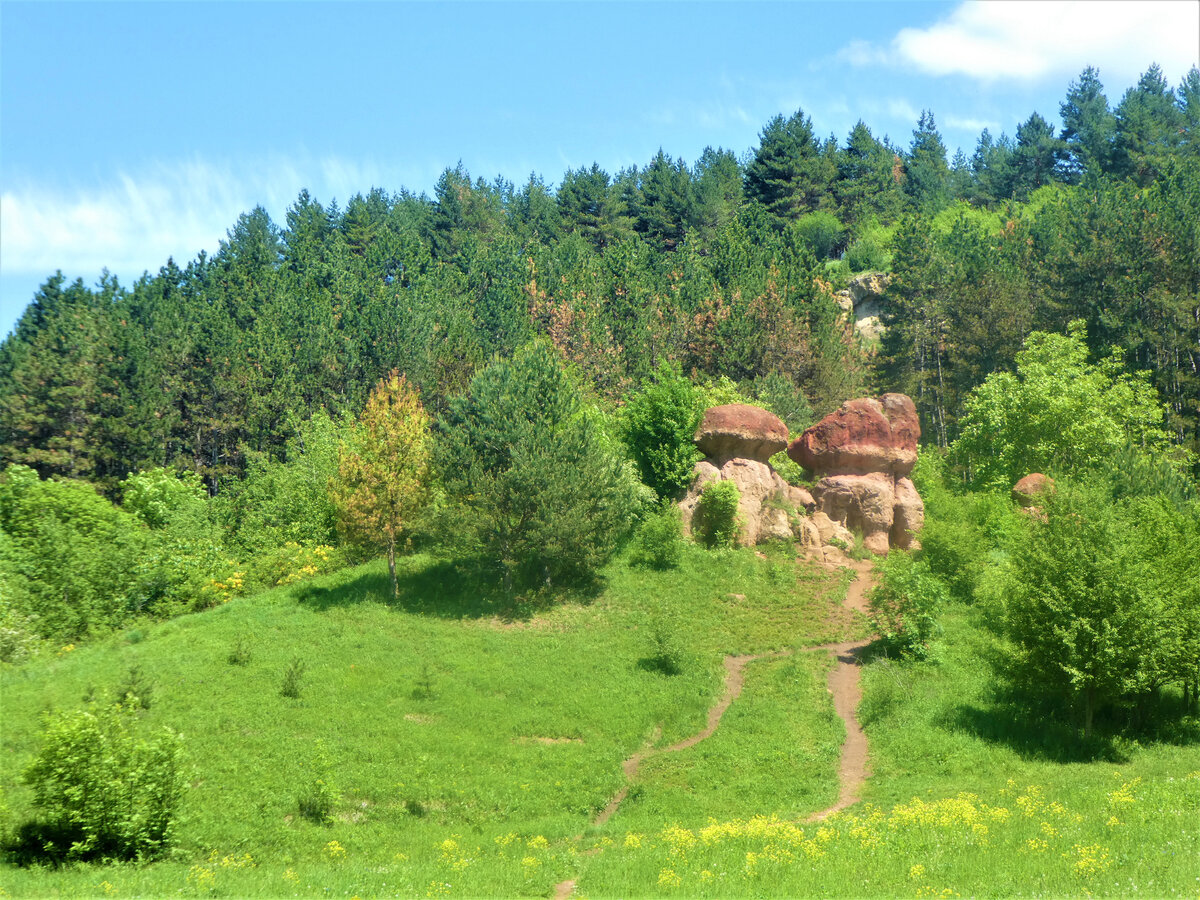 Прогулки по терренкурам в курортном парке Кисловодска: природа, которую я  недооценивала | В гости к бабушке Европе | Дзен