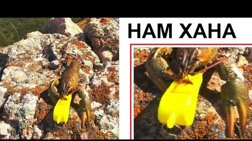 свистящий рак на горе видео. когда на горе свистнет. когда на горе свистнет. когда на горе свистнет. когда на горе свистнет.