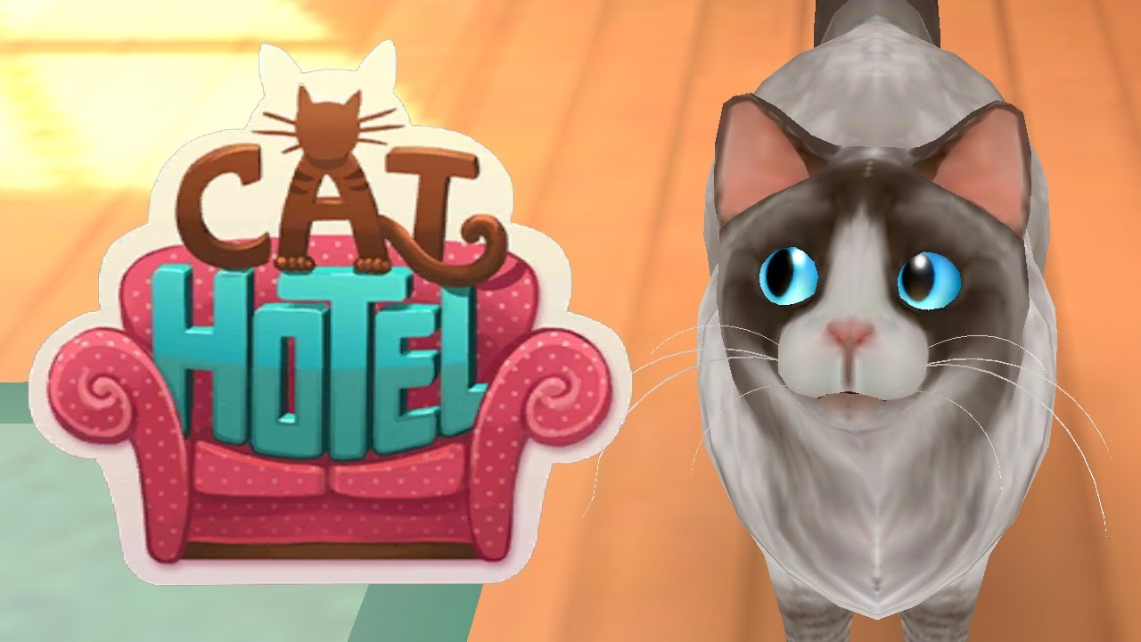 Игра CatHotel - отель для кошек