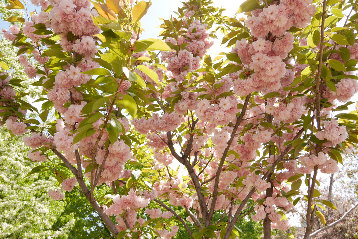 Любое событие прекрасно