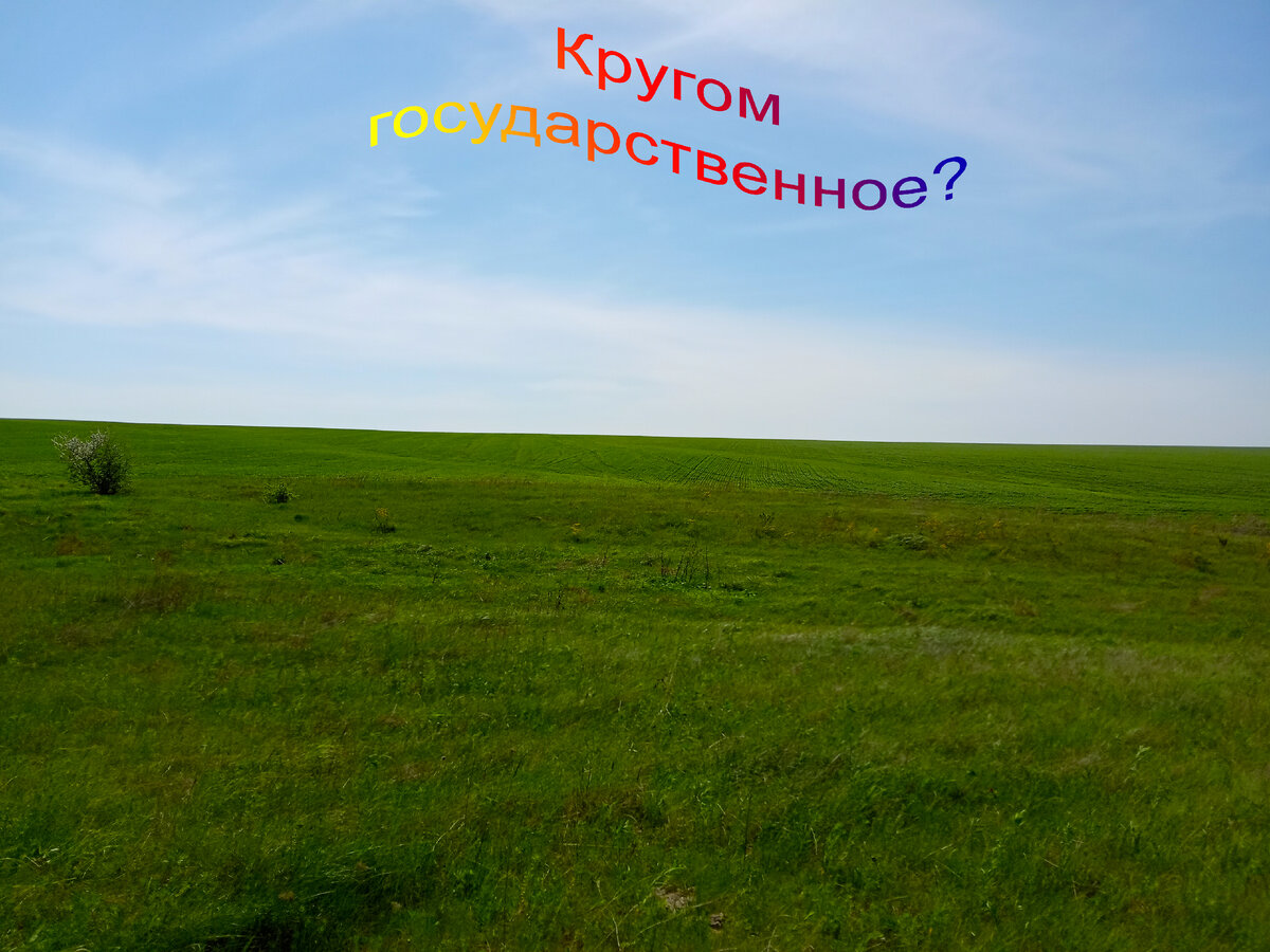 Государственная или нет