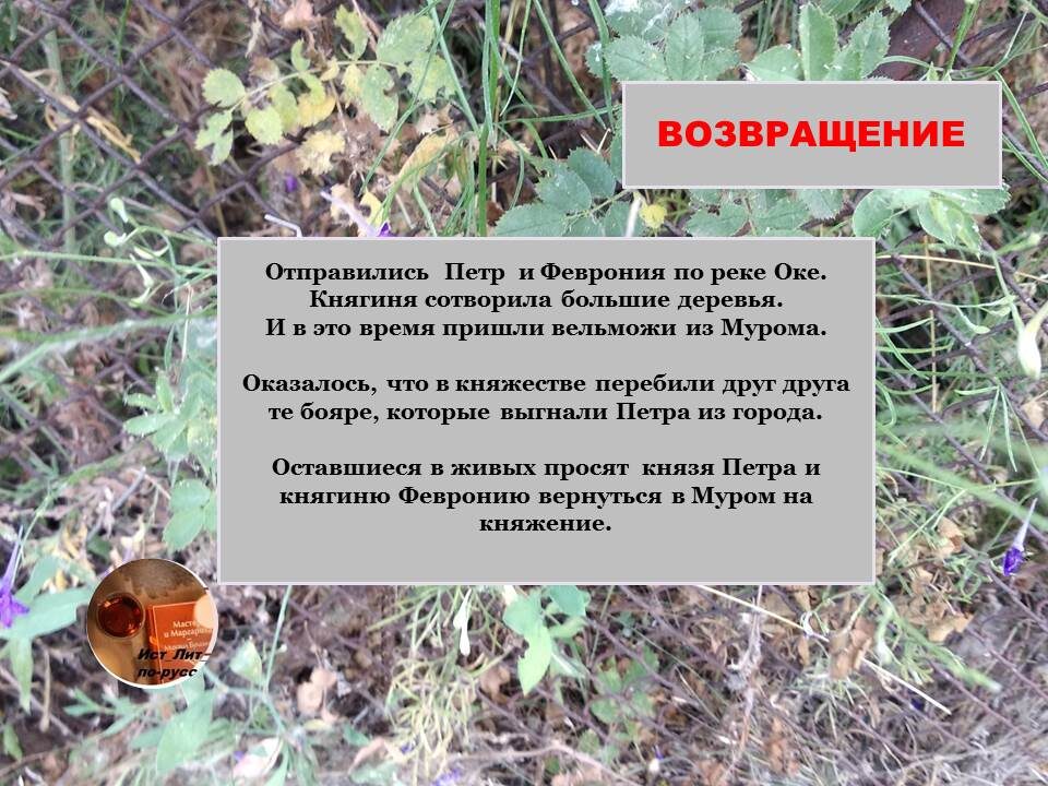 коллаж автора  Подписывайтесь на канал