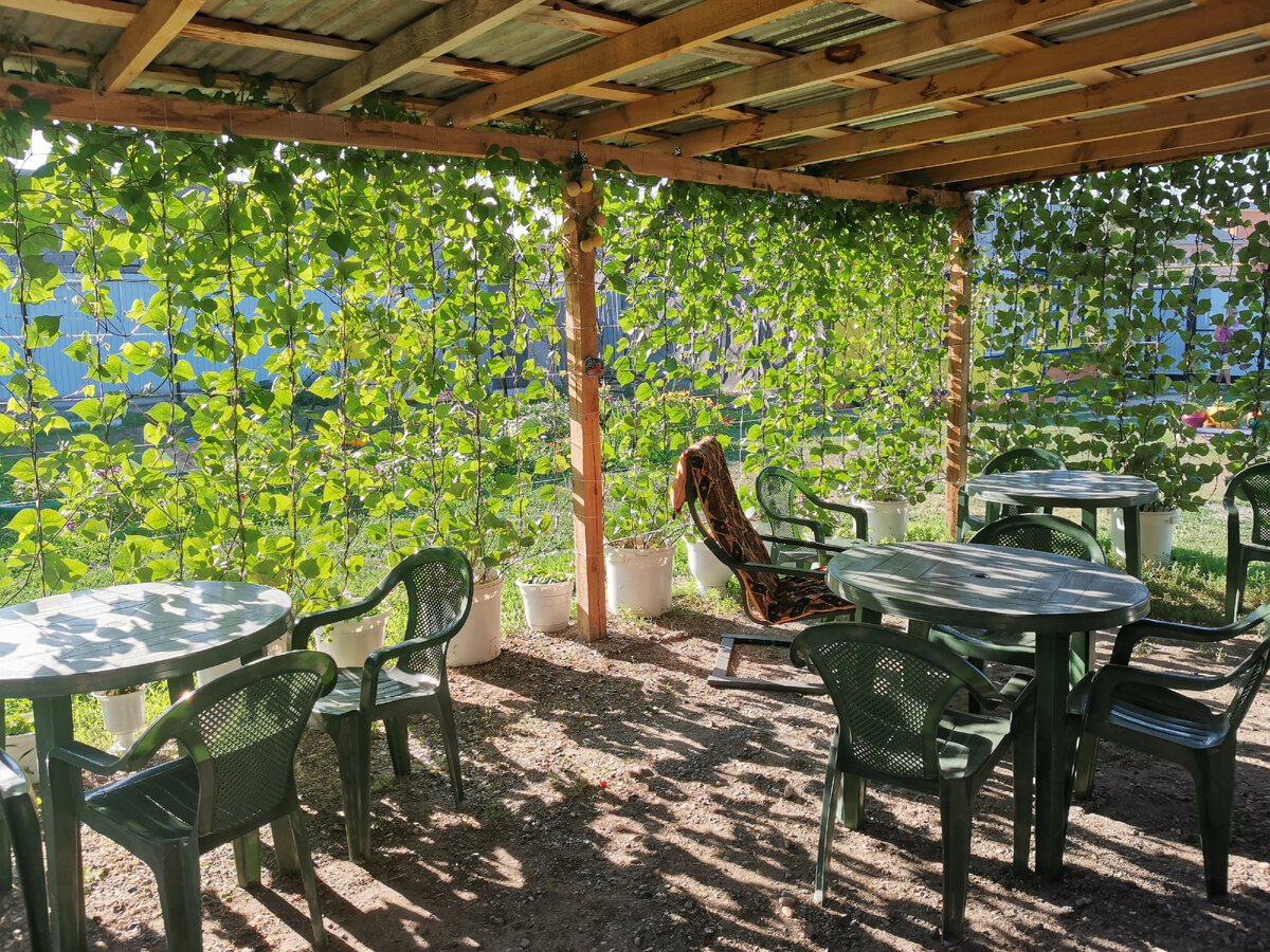 Беседка рядом с летней кухней