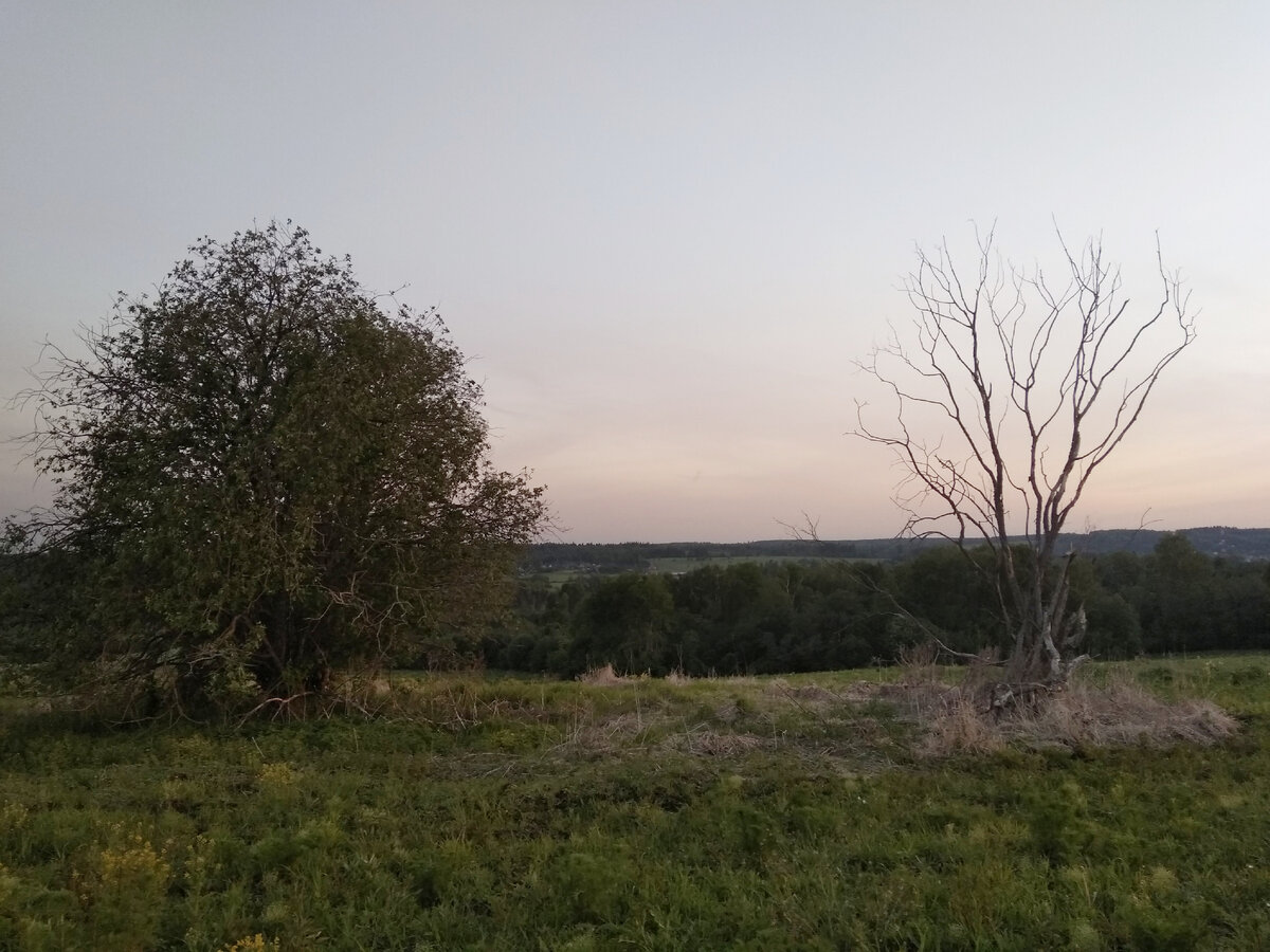 Все фото в статье автора, сделаны в течении нескольких лет