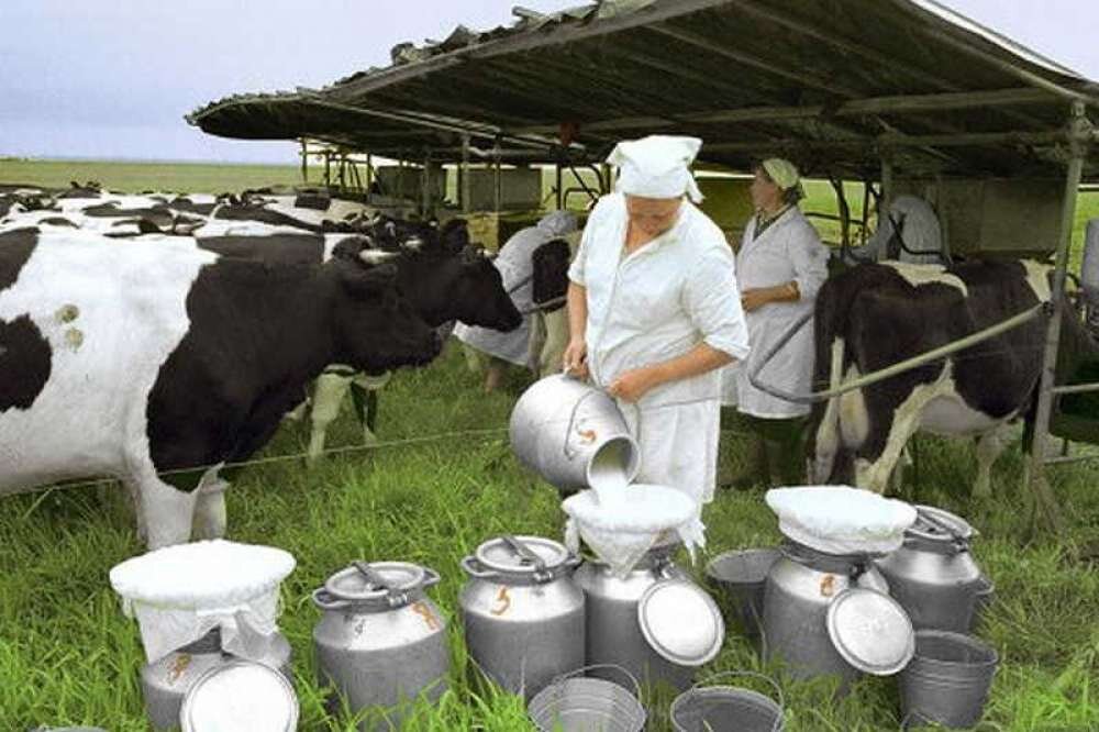 фото Яндекс картинки