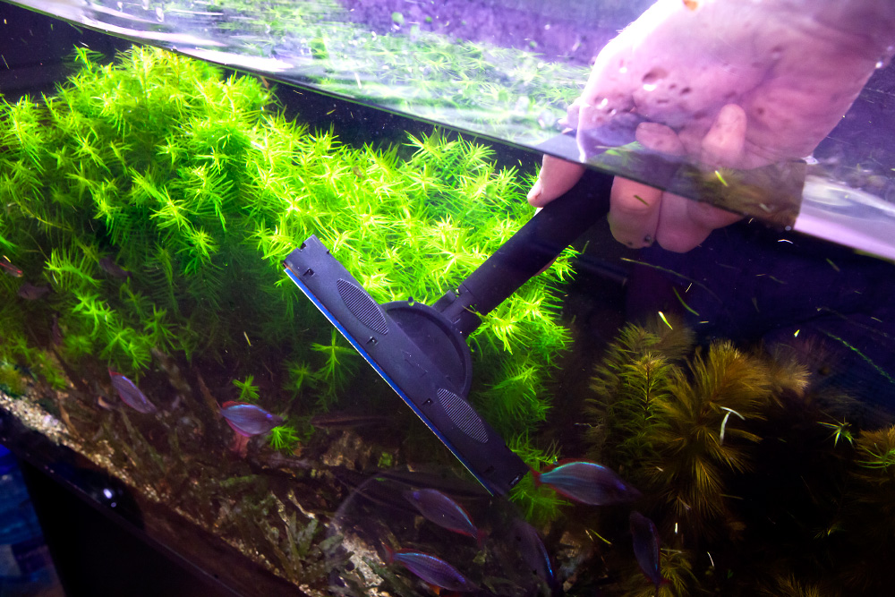 Фото из открытых источников.