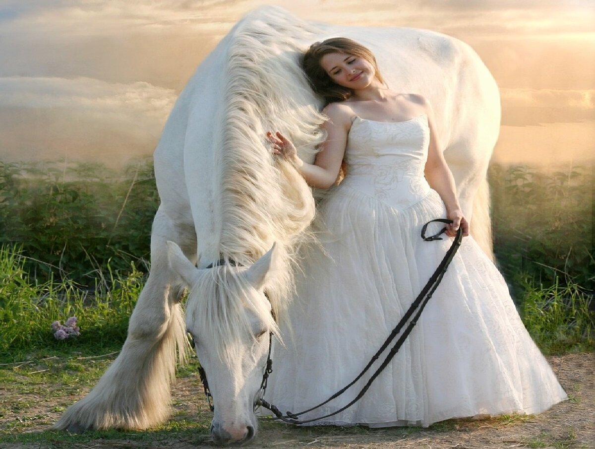 Для заставки использована картинка с сайта pixabay.com/ru. Бесплатно для коммерческого использования, указание авторства не требуется. 