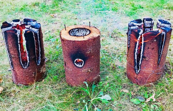 Есть несколько разновидностей таежной свечи. l Фото - dnpmag.com