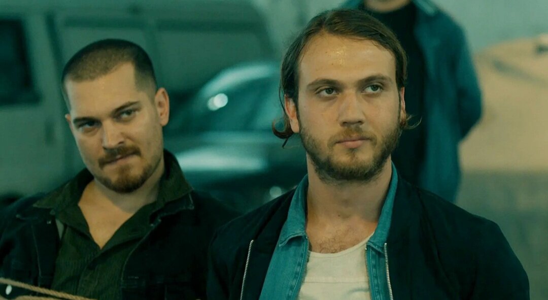 Яндекс. Картинки