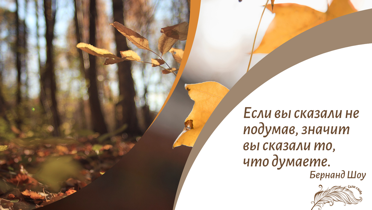О чем эта цитата для вас?