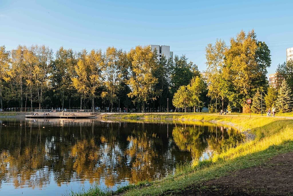 Парк Торфянка, где пока не состоялось обсуждение путепровода. Фото: Википедия