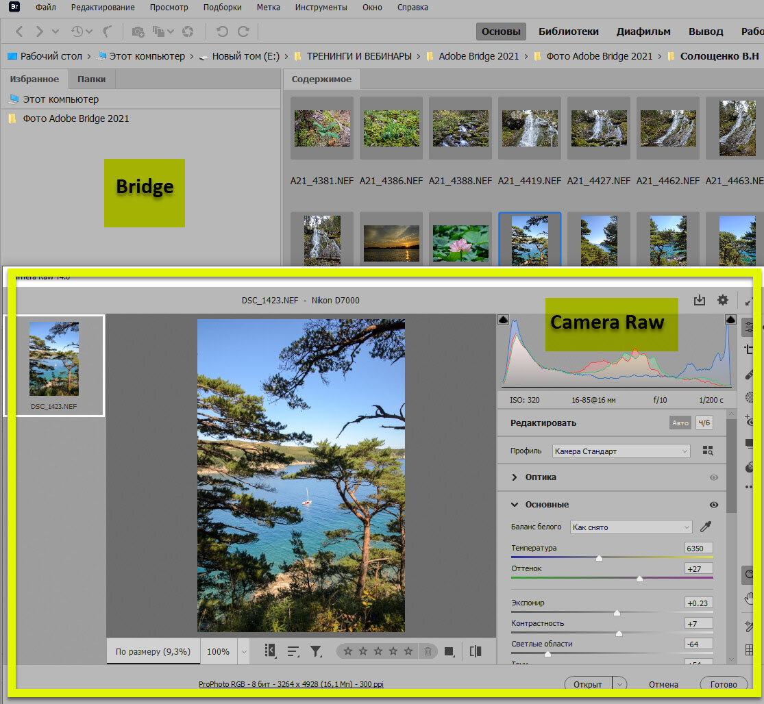 13 причин использовать Adobe Bridge | Фишки фотошопа | Дзен