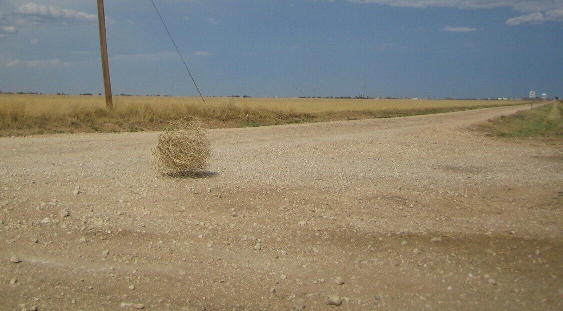 Заезд во время пандемии