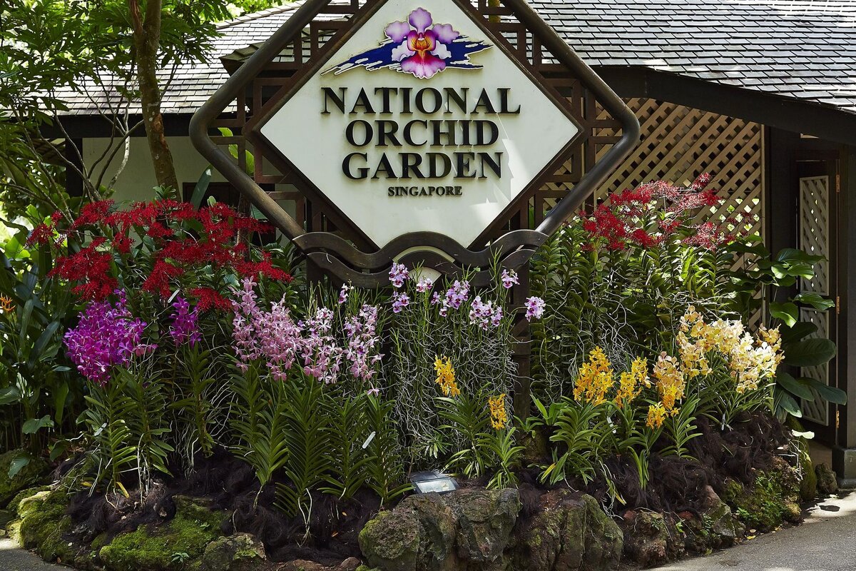 Национальный сад орхидей в Сингапуре. Сингапур небольшое государство и, тем не менее, там выделили место под сад для этих восхитительных цветов!