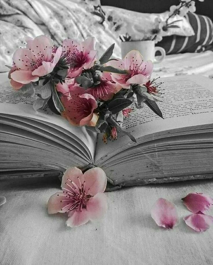     Фото взято из открытых источников интернета