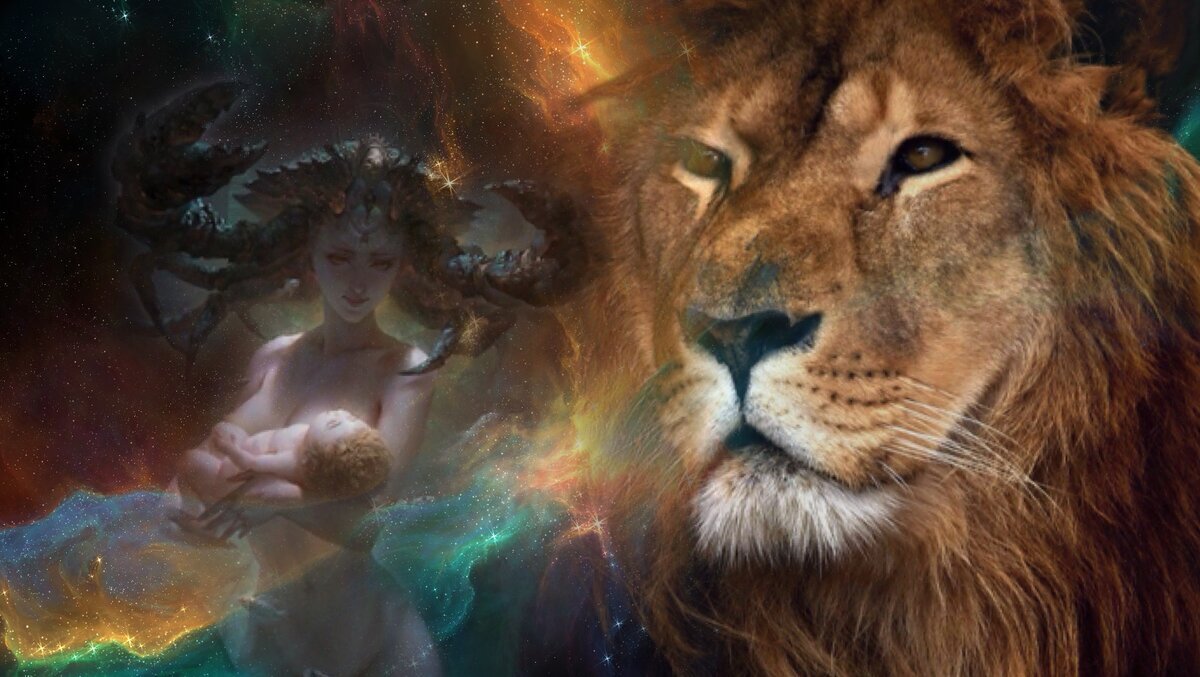 фото из интернета