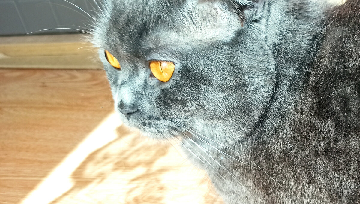 Вы тунеядец или пользу приносите? 