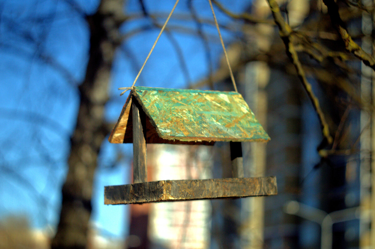 Открытая диафрагма f/2.0