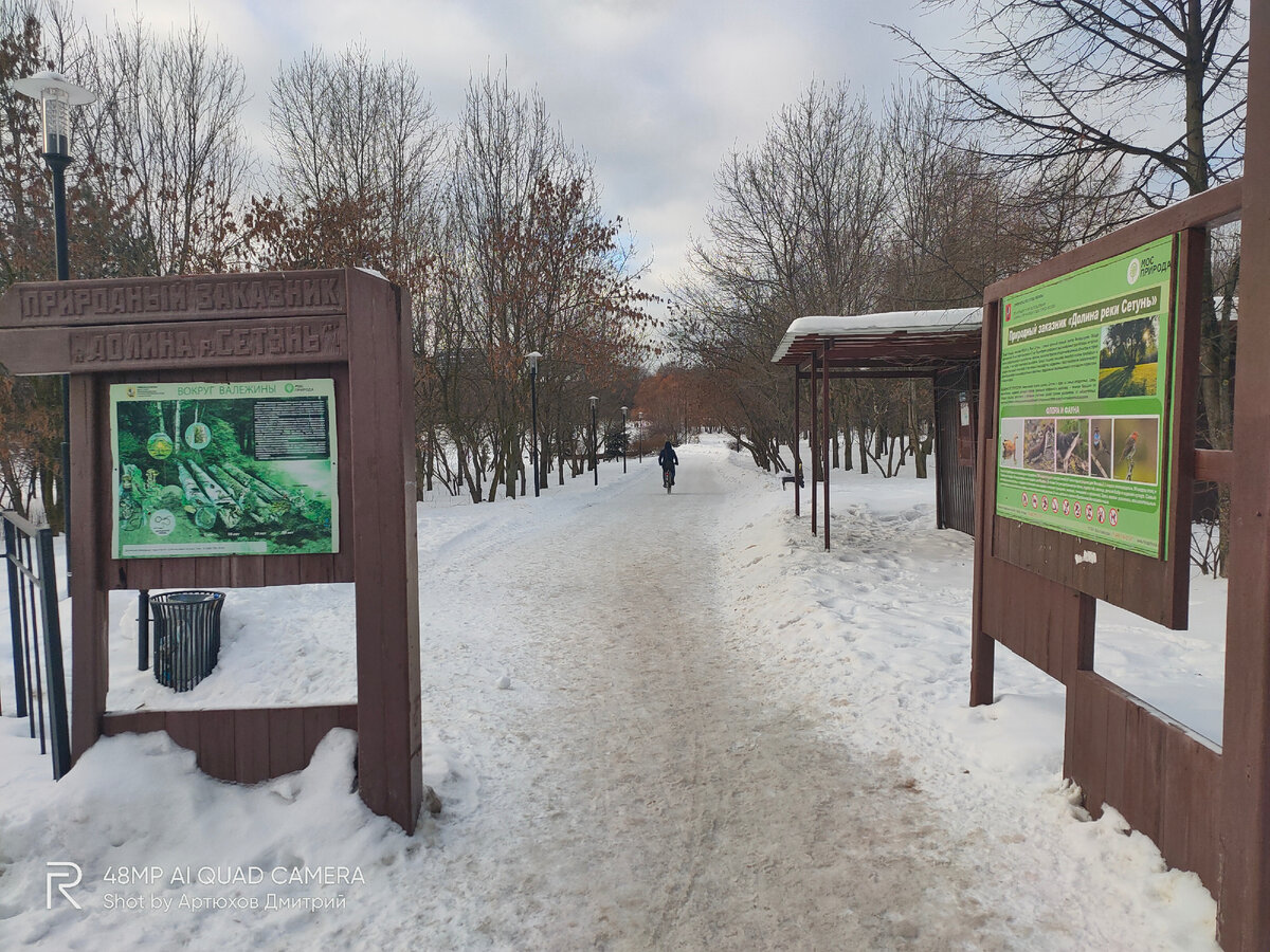 Одна из аллей в парке