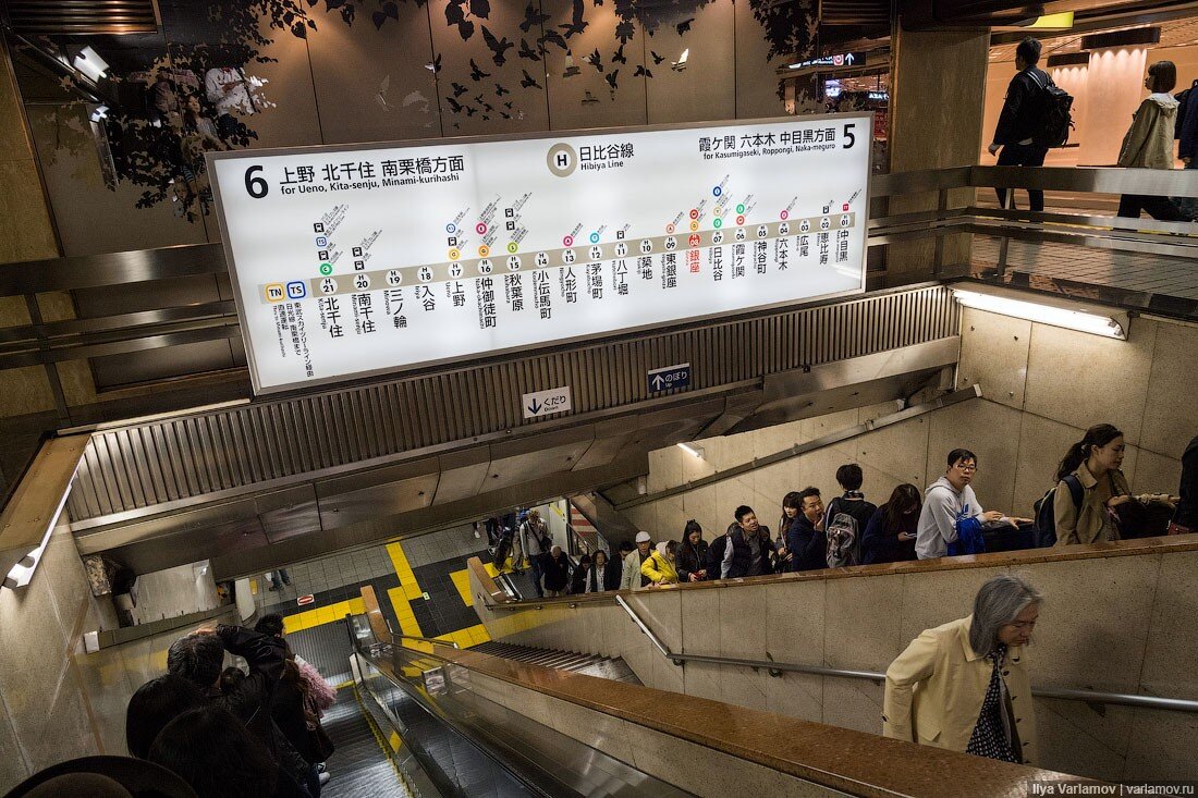 Tokyo subway. Станции метро Токио. Станции метро в Японии. Станции Токийского метрополитена. Поезд метро Токио.