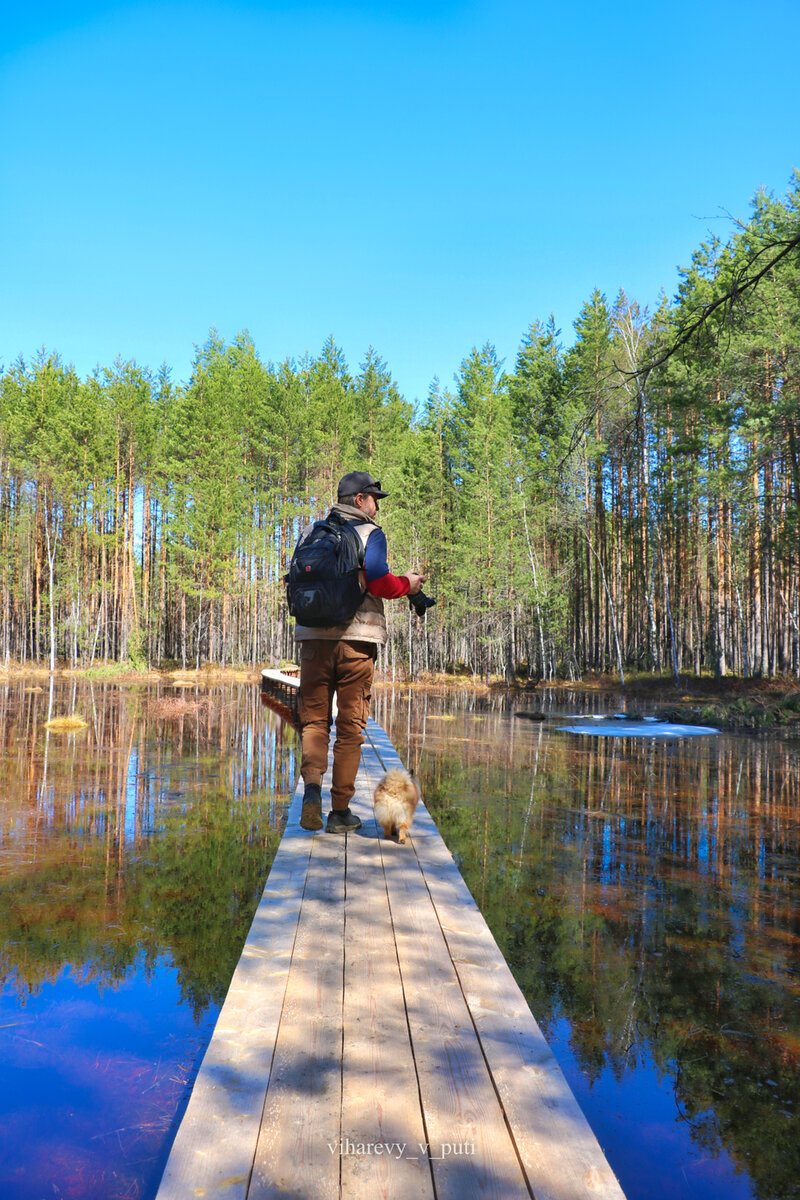 Андрей и Кузя торжественно заступили в самое начало эко-тропы (фото - автора)