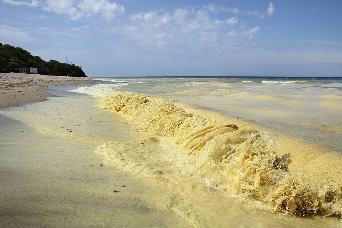 На желтом море