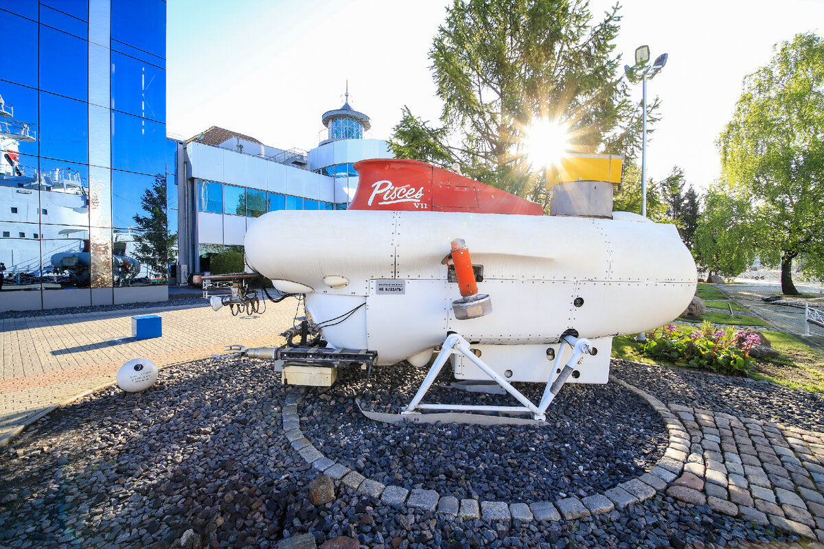 ГОА "Pices" (гр. "Рыбы") открытая территория Музея мирового океана
