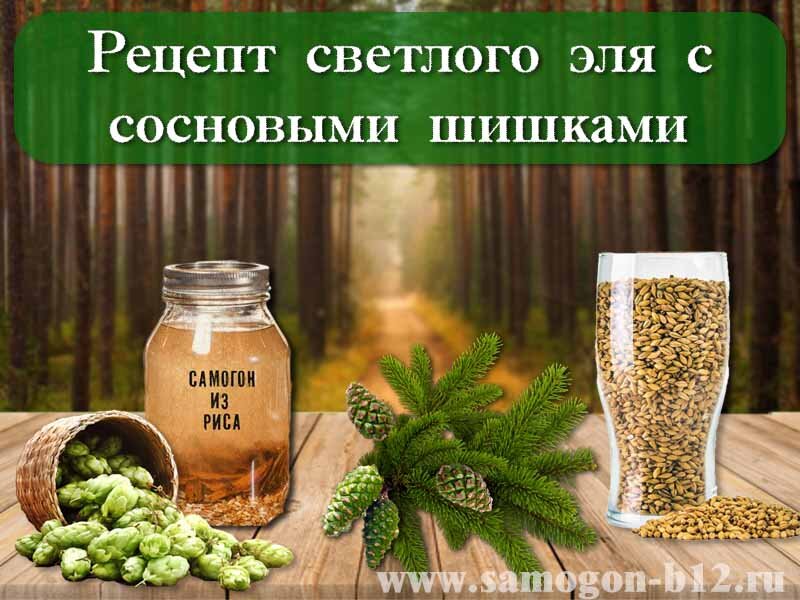 Рецепт соснового эля с сосновыми шишками ©