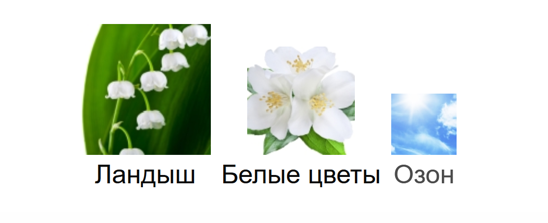 Фото www.fragrantica.ru
