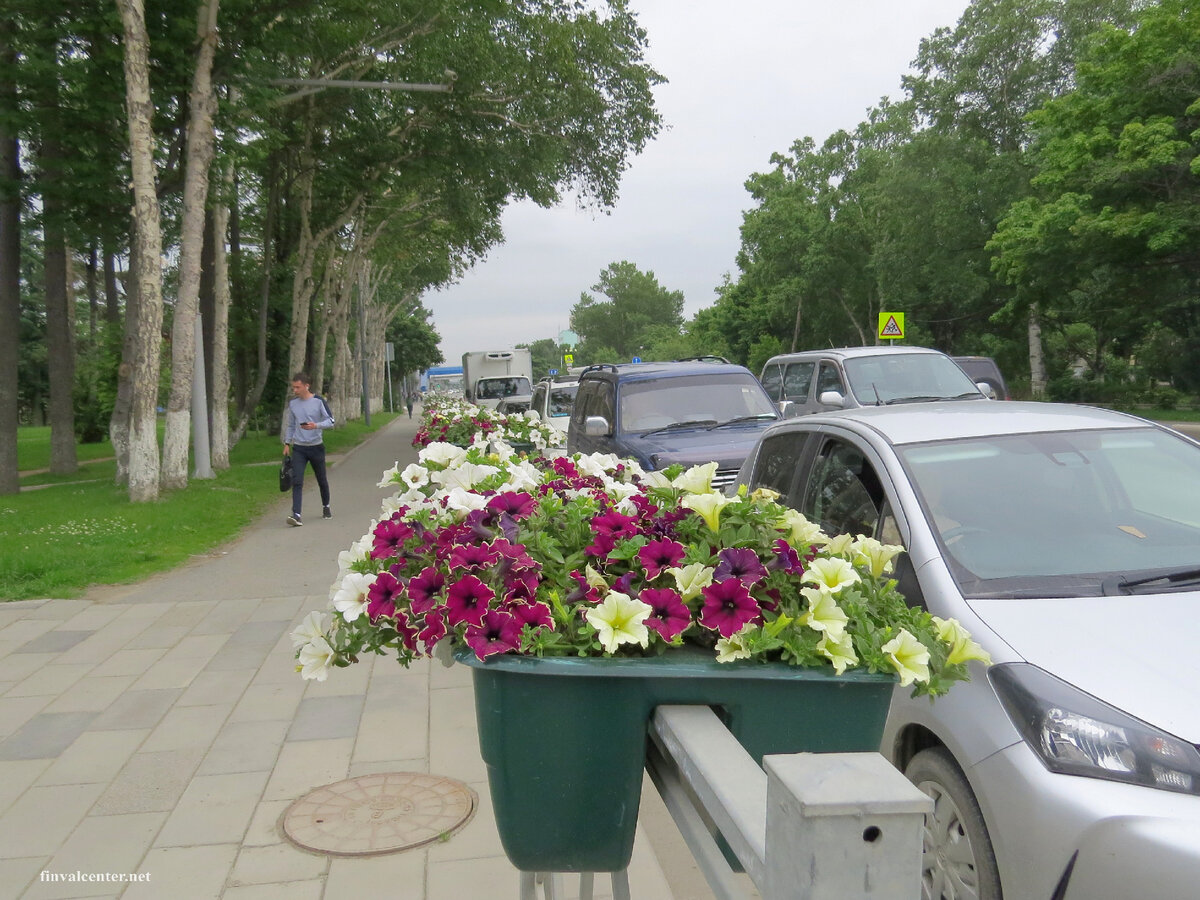 Южно-Сахалинск  оставляет очень приятное впечатление. Чисто, зелено, много цветов.