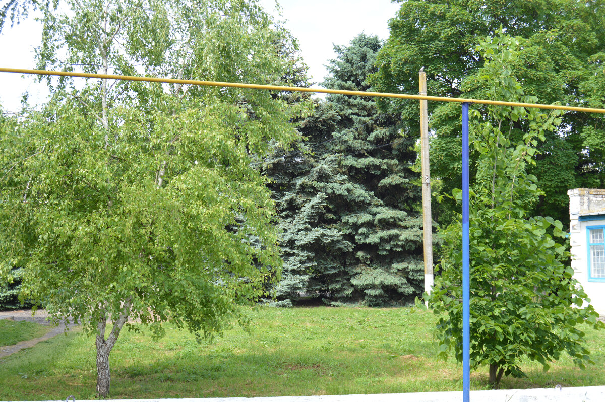 Фото автора. Кубанская природа.