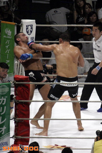 В упорном бою Ногейры и Вердума сильнее оказался Ногейра. Фабрисио позже возьмет реванш, но случится это уже в июне 2013 г.