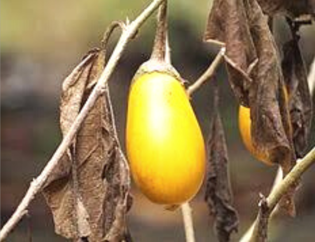 Фото из свободного доступа интернета