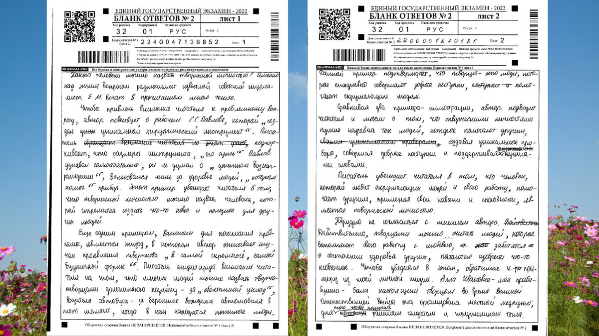 Скрины сочинения Кати